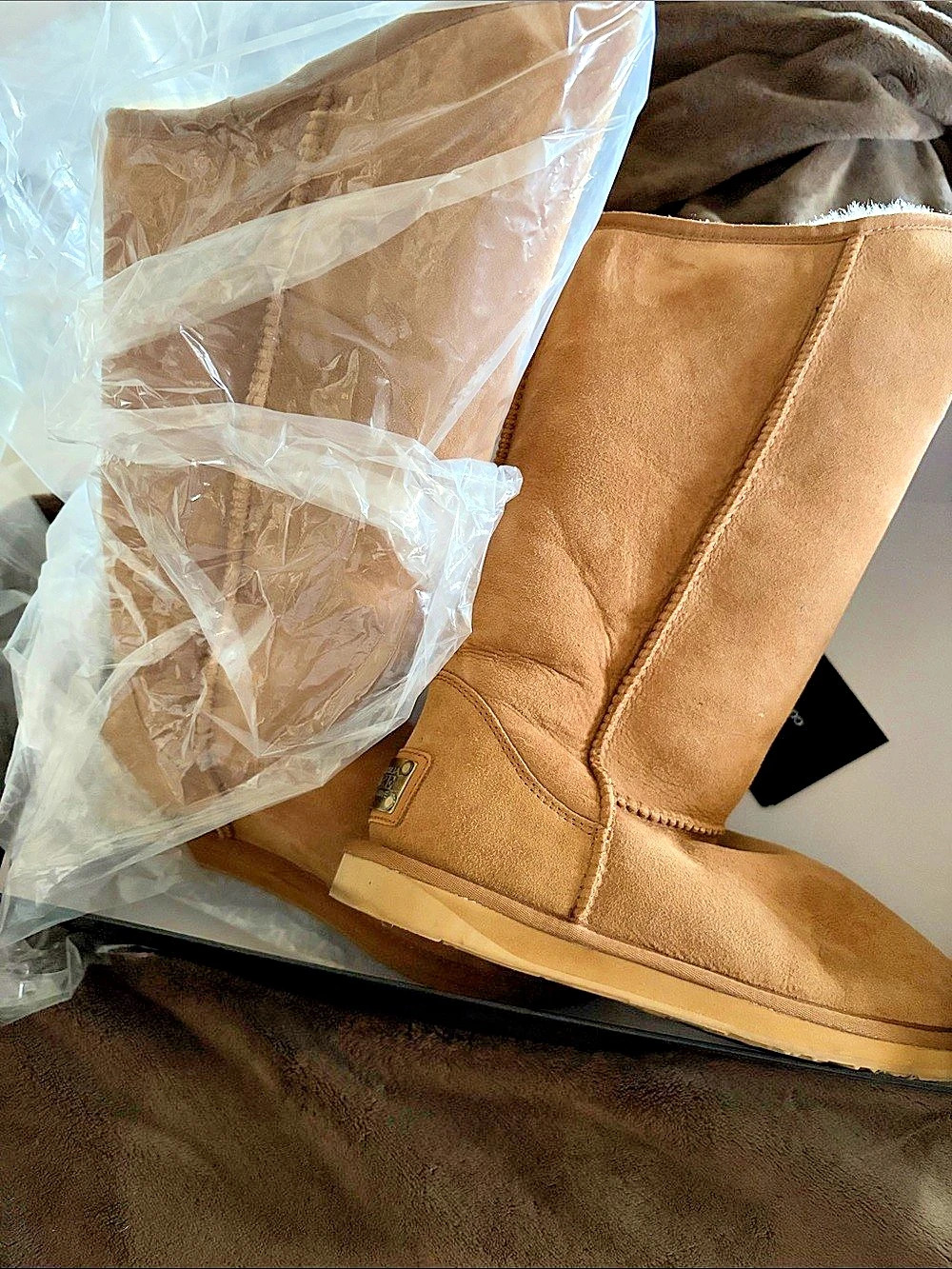 Australia Luxe Collective Tall Classic Sheepskin Boot Boots in Brown